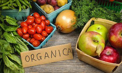 Alimentos orgánicos